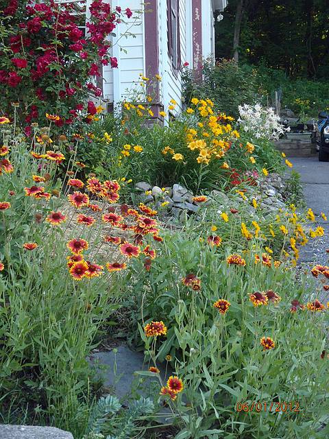 20120601-06295100-P6010275