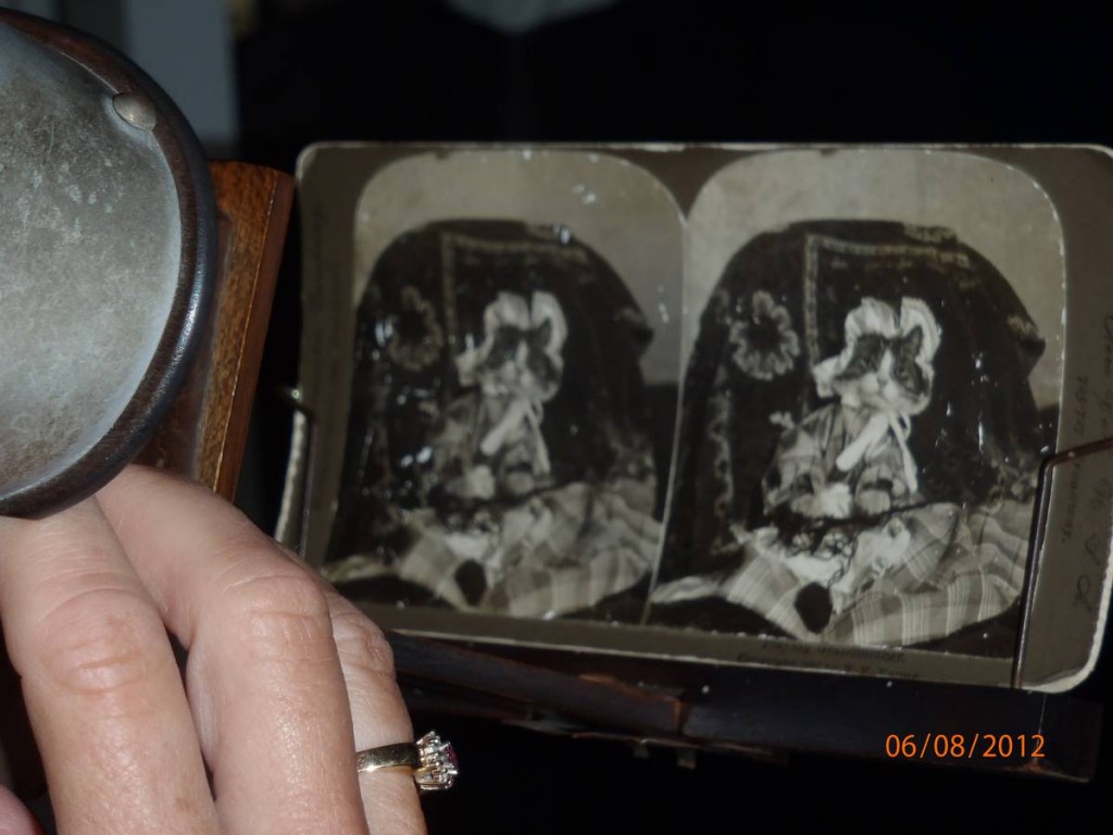 20120608-10124600-P6080328