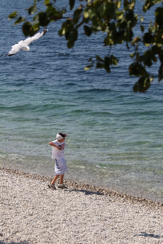 20120801nad21IMG_00008